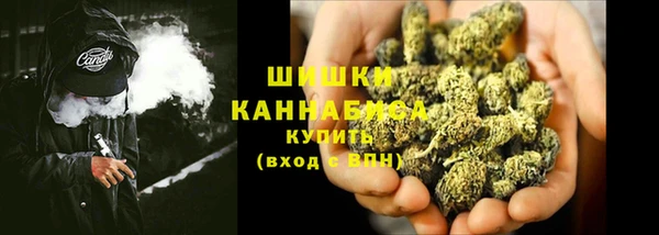 кокс Арсеньев