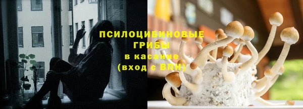 кокс Арсеньев
