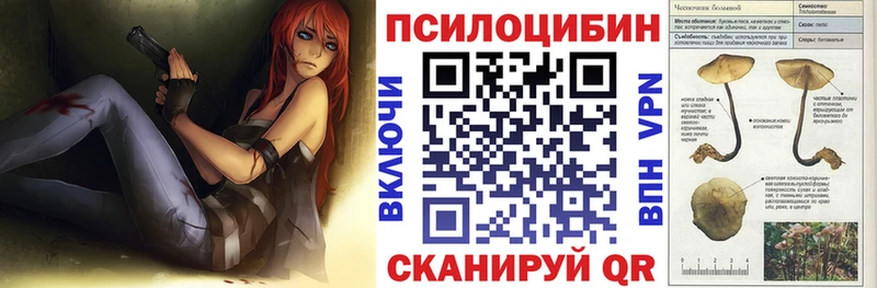 закладка  Талица  это официальный сайт  Галлюциногенные грибы Psilocybe 